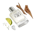Armani Acqua di Giò Eau de Toilette for Men Fresh Aquatic Cologne
