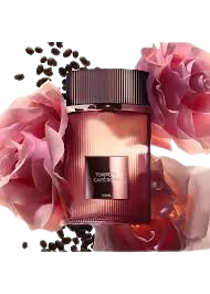 Tom Ford Café Rose Eau de Parfum Spray 3.4 oz (100 ml) Sealed