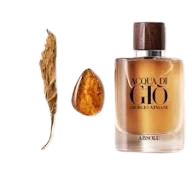Giorgio Armani Acqua di Giò Absolu Profumo Eau de Parfum 3.4 oz / 100 ml
