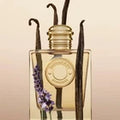 Burberry GODDESS Eau de Parfum 100 ml Hot Popular Gift Good Deal Best Seller