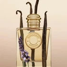 Burberry GODDESS Eau de Parfum 100 ml Hot Popular Gift Good Deal Best Seller